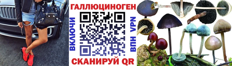 даркнет сайт  Кубинка  Галлюциногенные грибы Magic Shrooms 