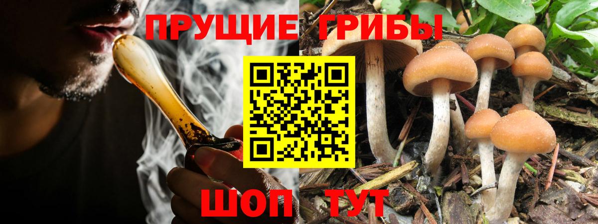 Галлюциногенные грибы Psilocybe  Галлюциногенные грибы ЛСД  Вход с VPN  Кубинка 